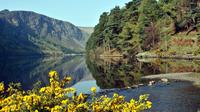 Glendalough and Wicklow Mountains Day Trip from Dublin
