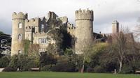 Malahide Castle Tour and 1hr Dublin Twilight Tour by Bus