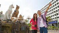 Kuching City and Heritage Tour