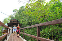 Penang National Park Half-Day Trek