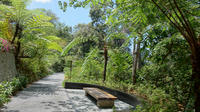 Private Tour: Penang Hill Habitat Nature Walk Including Lunch