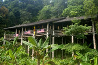 Traditional Bidayuh Village Bamboo Longhouse Tour from Kuching