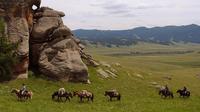 One Day Coach Tour of Terelj National Park Including Lunch