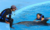 Dolphin Trainer for a Day in Cabo San Lucas