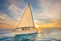 Los Cabos Luxury Sunset Sail