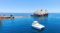 Sea of Cortez Sightseeing Cruise and Snorkeling Adventure with Lunch