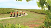 Segway Tour at Seppeltsfield Winery