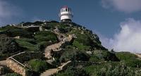 Full-Day Cape Point Peninsula and Boulders Beach Penguin Tour from Cape Town