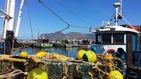 Full-Day Simons' Town and Kalk Bay Tour with Harbour Fish and Chips from Cape Town