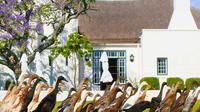 Half-Day Winelands Tour Stellenbosch from Cape Town