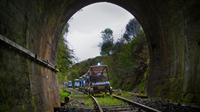 5-Tunnel Forgotten Railway Adventure from Taumarunui