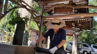 Small-Group Temple and Nature Tour from Tokyo