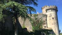 Bracciano Castle Half-Day Tour from Rome with Lunch