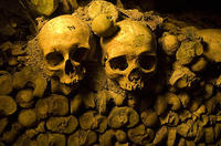 Coupe-file: visite à pied des catacombes de Paris en petit groupe