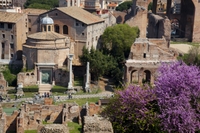 Offre spéciale Rome: billets coupe-file versez Rome antique et visite à pied du Colisée en plus de d'ONU circuit-dégustation de vin à Frascati