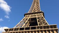 Accès spécial: Jour Soir Tour Eiffel Tour VIP Saint-Valentin avec Summit accès et de la Seine Croisière Champagne