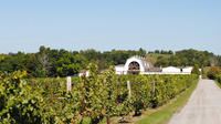 Millbrook Vineyards & Winery Portfolio Wine Tasting