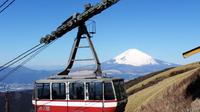 Private Chartered Taxi Tour to Hakone from Tokyo