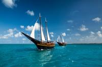 Morning Pirate Sail and Snorkel Cruise in Aruba