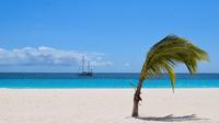 Barbados Shore Excursion: Island Highlights Half-Day Tour