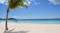 Barbados Shore Excursion: Pirates Cove Beach Day