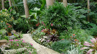 Taste of Barbados sFull-Day Sightseeing Tour image 1 Taste of Barbados sFull-Day Sightseeing Tour image 1