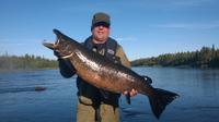 Private Salmon Fishing Trip in Muonio
