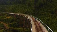 Old Coach Road Self-Guided Bike Tour from Ohakune