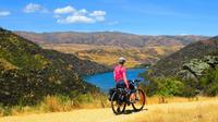 Full-Day Roxburgh Gorge Cycle Tour from Queenstown