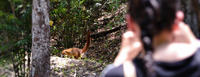 Sunrise Hike at Calakmul Biosphere Reserve