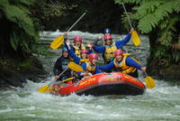 Rafting en eaux vives sur le fleuve Kaituna au départ de Rotorua