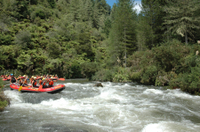 Rafting en eaux vives sur le fleuve Rangitaiki au départ de Rotorua