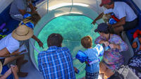 Glass Bottom Boat Coral Reef Exploration