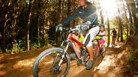 4-Hour Guided Mountain Bike Tour of Whakarewarewa Redwood Forest