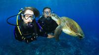 Gold Coast Scuba Diving Experience on Wave Break Island