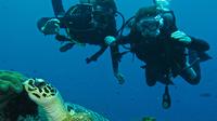 Beginner Scuba Diving Experience in Padangbai