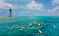 Key West Reef Snorkeling Cruise