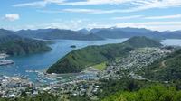 Full-Day Marlborough Scenic and Wine Tour from Picton