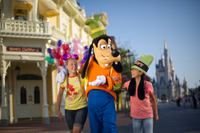 Disney's weekkaart Magic Your Way Disney's weekkaart Magic Your Way
