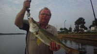 4-hour Cape Coral Inshore Fishing Trip