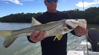 4-hour Marco Island Inshore Fishing Trip