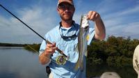 4-Hour Vero Beach Inshore Fishing Trip