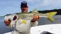 6-hour Everglades Flamingo Inshore Fishing trip