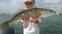 6-hour Miami Inshore Fishing trip