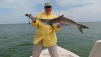 8-hour Cape Coral Inshore Fishing Trip