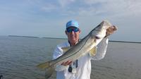 8-hour Everglades Flamingo Inshore Fishing trip