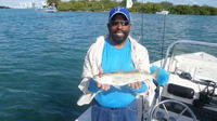 8-hour Miami Inshore Fishing trip