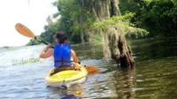 Paddle the Swamp - Canoe and Kayak Louisiana Bayou Tour