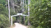 Half-Day Jozani Forest Guided Tour from Zanzibar