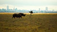 Half-Day Nairobi National Park Tour from Nairobi